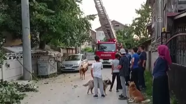 Son dakika haber | Budamak için çıktığı ağaçta mahsur kalan kişiyi itfaiye indirdi