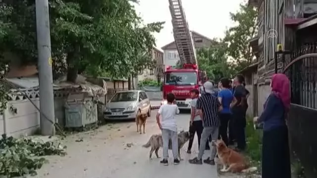 Son dakika haber | Budamak için çıktığı ağaçta mahsur kalan kişiyi itfaiye indirdi