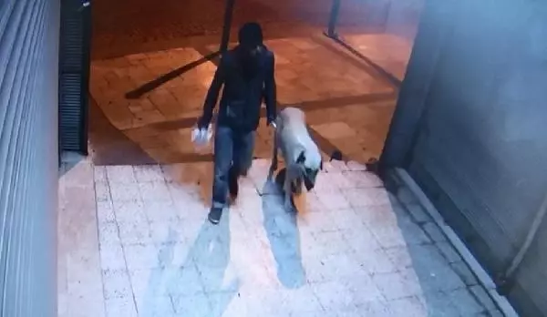 Para istediği kişiyi sokak ortasında vuran tetikçiyle ilgili iğrenç gerçek: Sokak köpeğini öldürüp tecavüz etmiş
