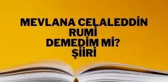 Demedim mi? şiiri - Mevlana Celaleddin Rumi Demedim mi? şiiri