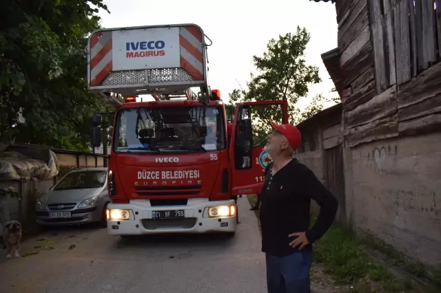 Son dakika haber | Budamak için çıktığı ağaçta mahsur kalan kişiyi itfaiye indirdi