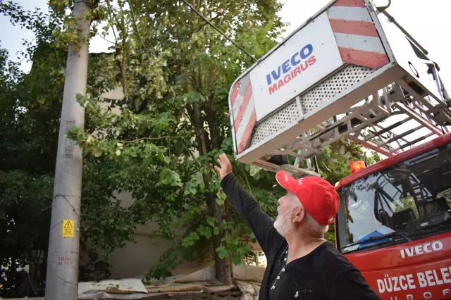 Son dakika haber | Budamak için çıktığı ağaçta mahsur kalan kişiyi itfaiye indirdi