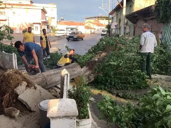 Fırtına, Nazilli'de yaşamı olumsuz etkiledi