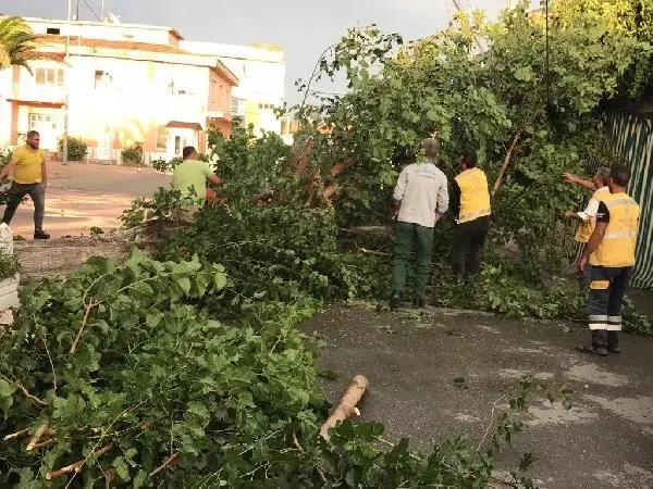 Fırtına, Nazilli'de yaşamı olumsuz etkiledi