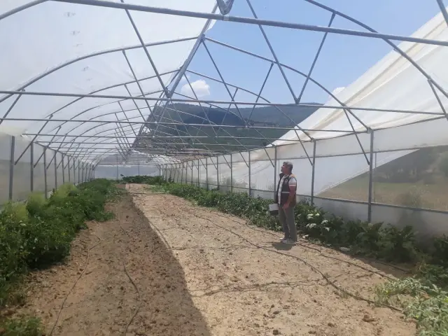 Fırtınanın zarar verdiği tarım alanlarında hasar tespit çalışmalarına başlandı