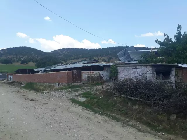 Fırtınanın zarar verdiği tarım alanlarında hasar tespit çalışmalarına başlandı