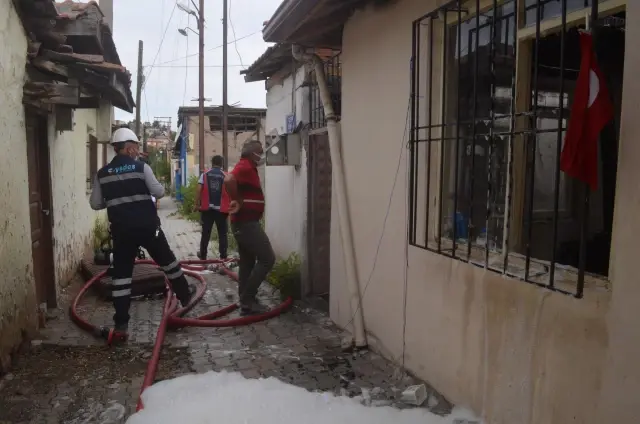 Amasya'da itfaiye yangın çıkan evde bulunan kedi yavrularını kurtardı Amasya'da itfaiye yangın çıkan evde bulunan kedi yavrularını kurtardı