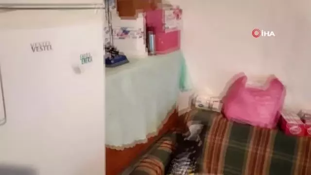 Evde kaçak sigara üretimine suçüstü