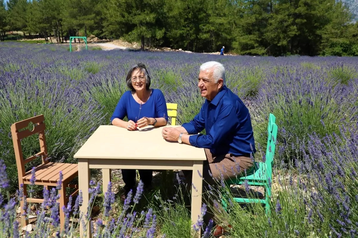 Göz Kamaştıran Mor Tarlalarda Yeni Sezon Açıldı