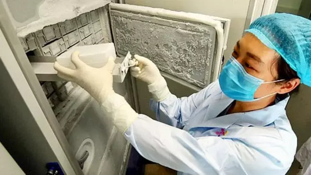 Koronayla ilgili tüm bilinenleri kökünden sarsacak araştırma: Virüsün kökeni 20 bin yıl öncesine dayanıyor Koronayla ilgili tüm bilinenleri kökünden sarsacak araştırma: Virüsün kökeni 20 bin yıl öncesine dayanıyor
