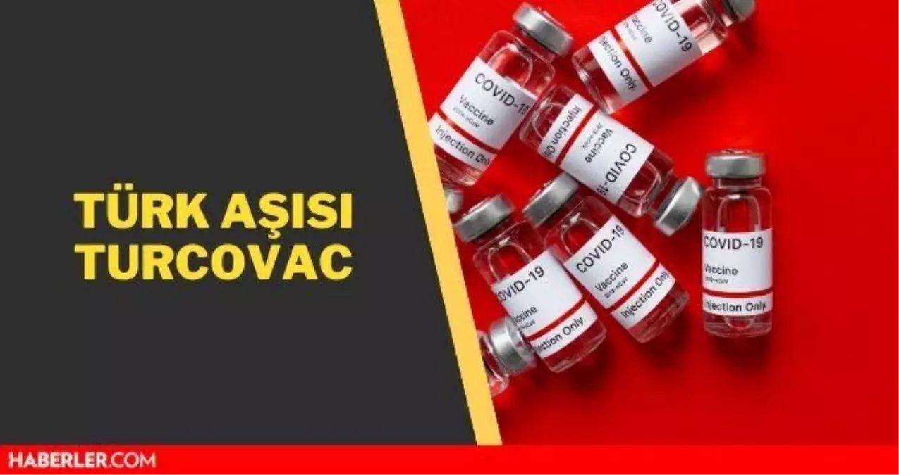 Türk aşısı ne zaman çıkıyor? Yerli aşı Turcovac kaçıncı fazda?