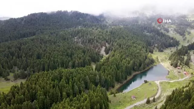 Balık Gölü, çam ormanları ve muhteşem doğasıyla görenleri mest ediyor
