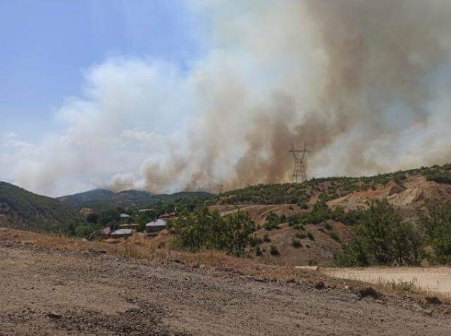 Bingöl'de 14 gün sonra aynı yerde orman yangını