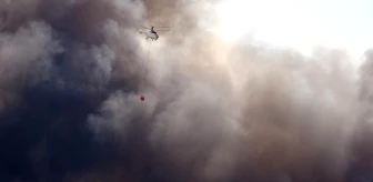 Dalaman Belediye Başkanı; '3 hektar yandı, kontrollü yanma devam ediyor'