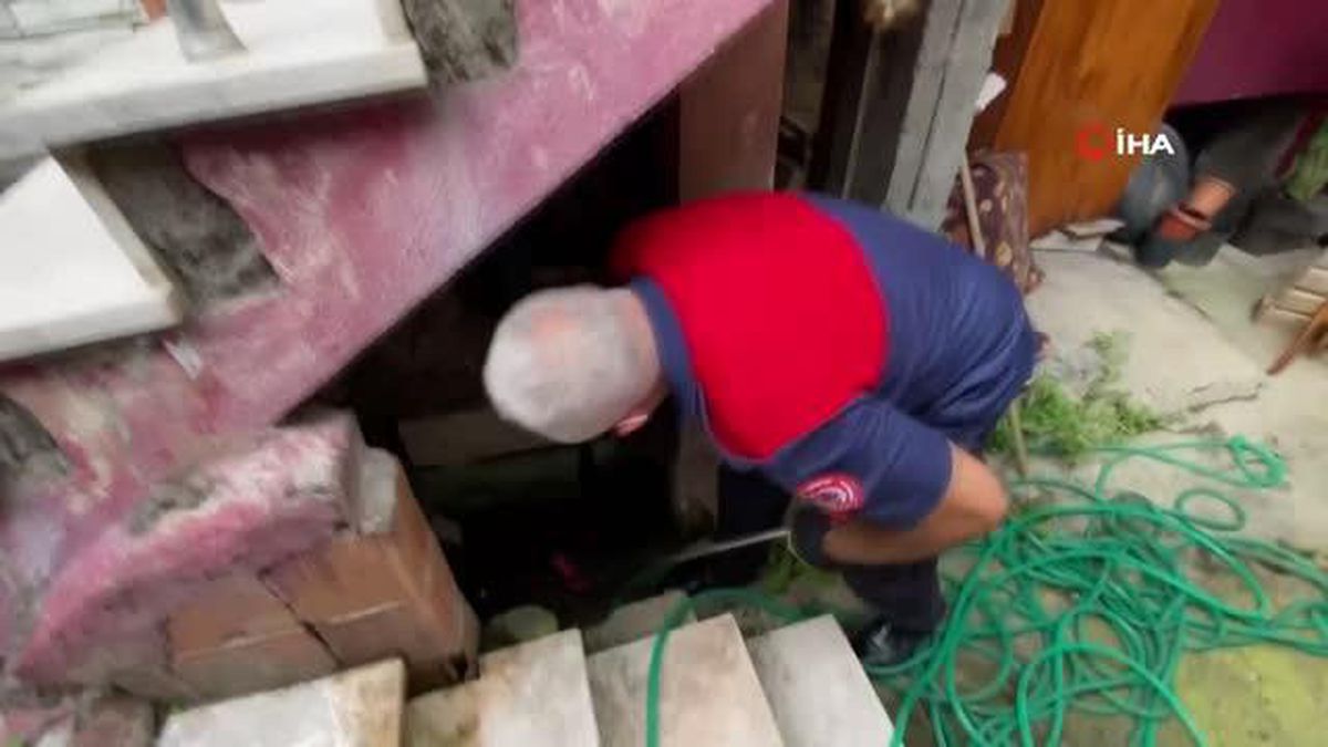 Bir anlık dikkati, ailesini tehlikeden korudu! Zehirli sarı yılan, saklandığı bahçede yakalandı