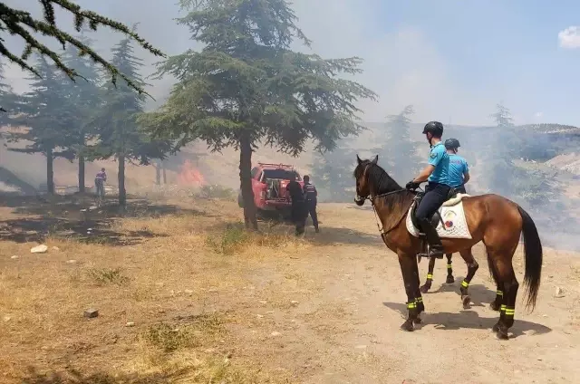 Doğum günü yangınla bitti, atlı jandarmalar fark etti