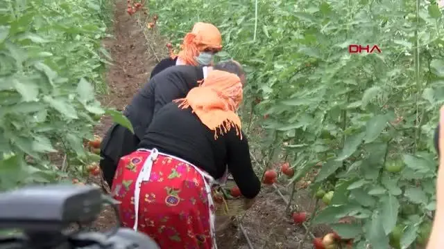 GAZİANTEP Bakan Varank Biz hizmet yaparken, muhalefet kara propaganda yapıyor