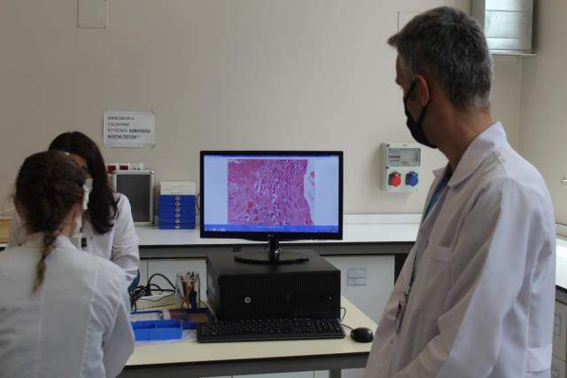 Gıda laboratuvarındaki tespitler endişe verici! Tavuk dönerin içinden bağırsak, sucuktan domuz eti çıkabiliyor Gıda laboratuvarındaki tespitler endişe verici! Tavuk dönerin içinden bağırsak, sucuktan domuz eti çıkabiliyor