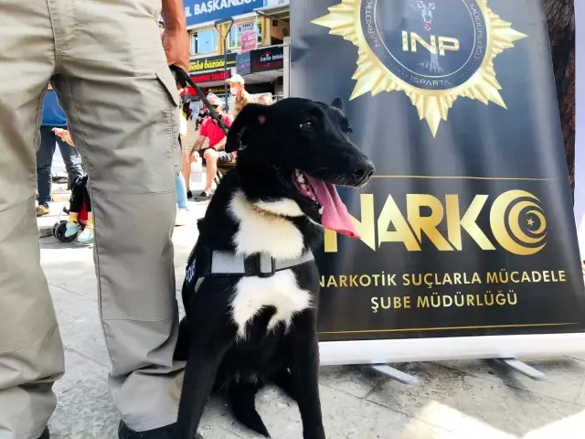 Narkotik köpeği Athena ilgi odağı oldu
