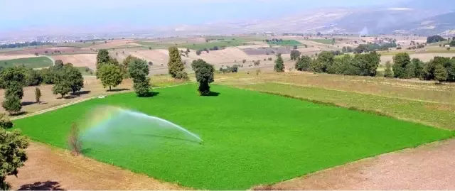 DSİ, Amasya'nın verimli topraklarına bereket katıyor
