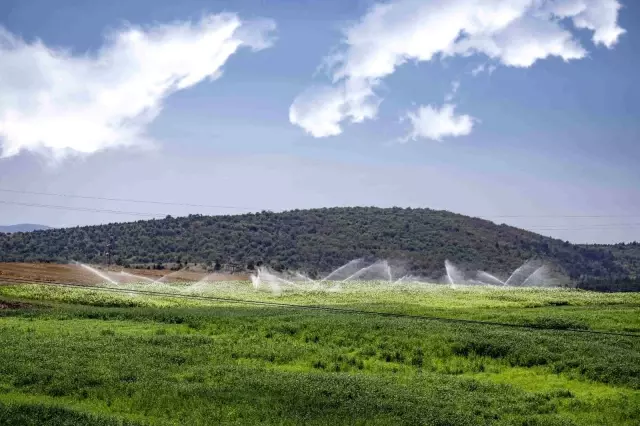 DSİ, Amasya'nın verimli topraklarına bereket katıyor