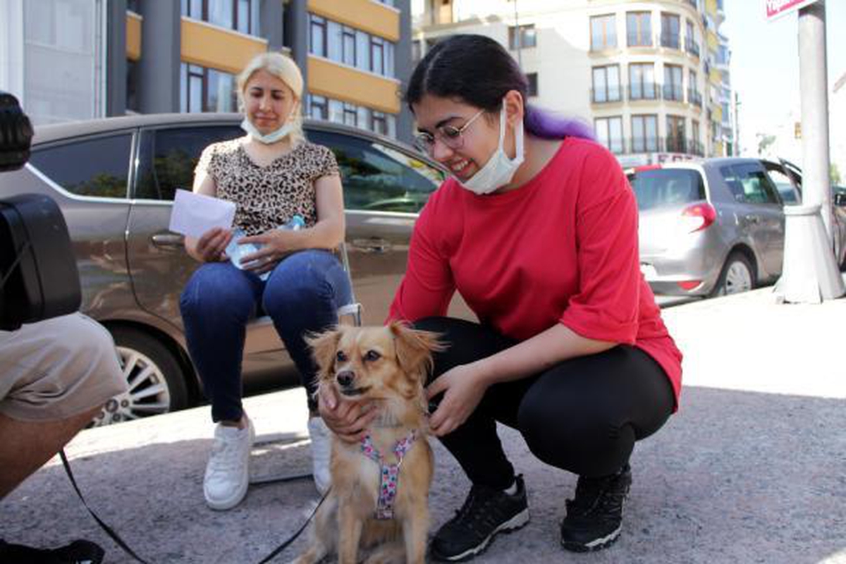 YKS'Ye köpeğiyle geldi; son ana kadar yanından ayrılmadı - Vimarsana News
