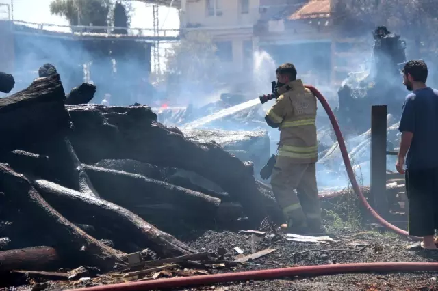 Son dakika haberi! Dumandan etkilenen hayvanlara polis ve vatandaştan ilkyardım