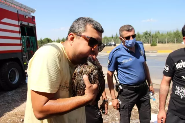 Son dakika haberi! Dumandan etkilenen hayvanlara polis ve vatandaştan ilkyardım