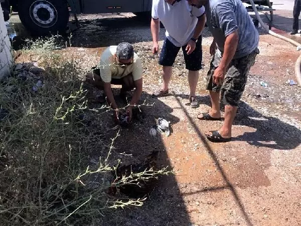 Son Dakika | İZMİR'DE ORMAN ÜRÜNLERİ FABRİKASINDA YANGIN