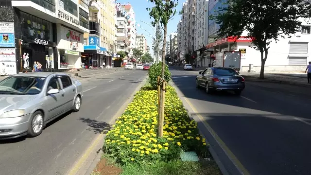 Son kısıtlamaya Diyarbakır uydu, sokaklar boş kaldı