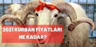2021 kurbanlık fiyatları ne kadar? Vekaletle kurban fiyatı ne kadar? Diyanet İşleri açıkladı!