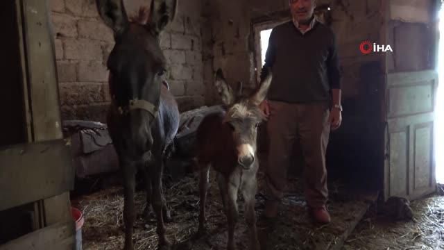 bir litresi 100 tl den satiliyor pandemi onu 4 14231197 o