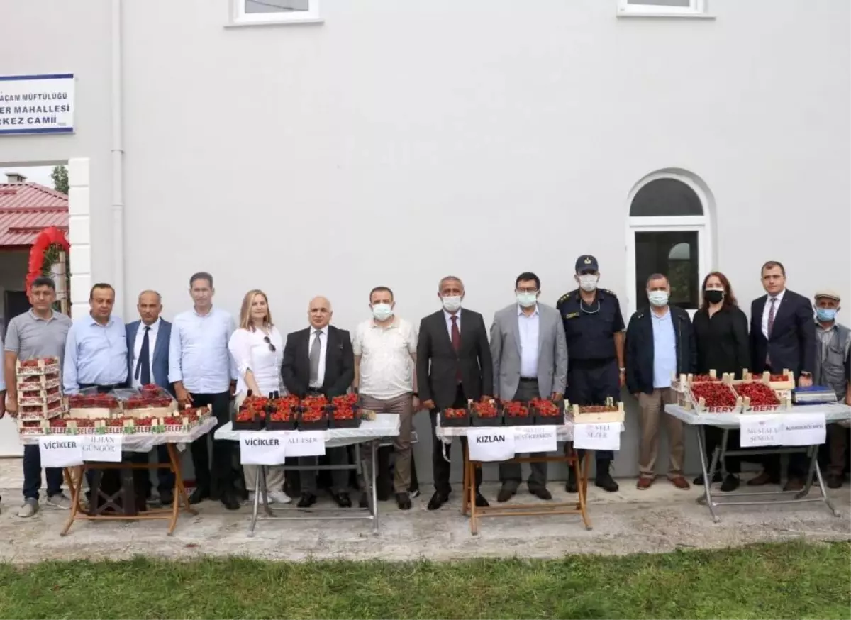 Büyükşehir'den Çiftçilere 'Çilek' Desteği