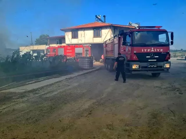 Son dakika haberleri | Depoda çıkan yangında 700 saman balyası kül oldu