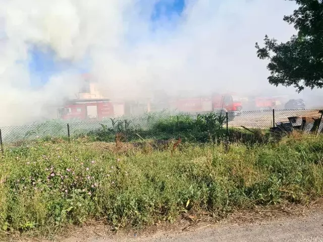 Son dakika haberleri | Depoda çıkan yangında 700 saman balyası kül oldu