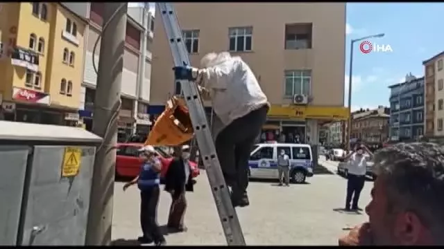 Elektrik direğine oğul veren arılar kovana alındı