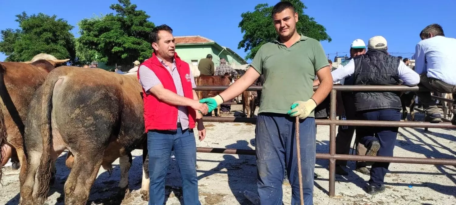 Yozgat'ta kurbanlıklar görücüye çıktı