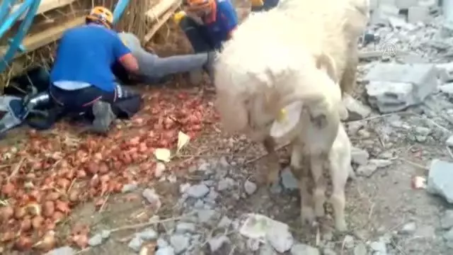 AFYONKARAHİSAR - Bir ağılda inşaatın çökmesi sonucu 3 kişi yaralandı 3 AFYONKARAHİSAR - Bir ağılda inşaatın çökmesi sonucu 3 kişi yaralandı