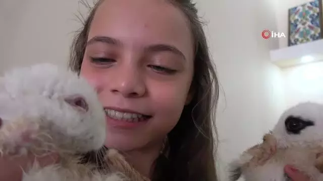 Anne-kızın çabası minik tavşanı yaşatmaya yetmedi Anne-kızın çabası minik tavşanı yaşatmaya yetmedi
