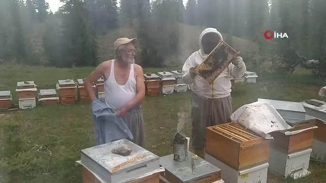 Arıların yanına soyunarak girdi