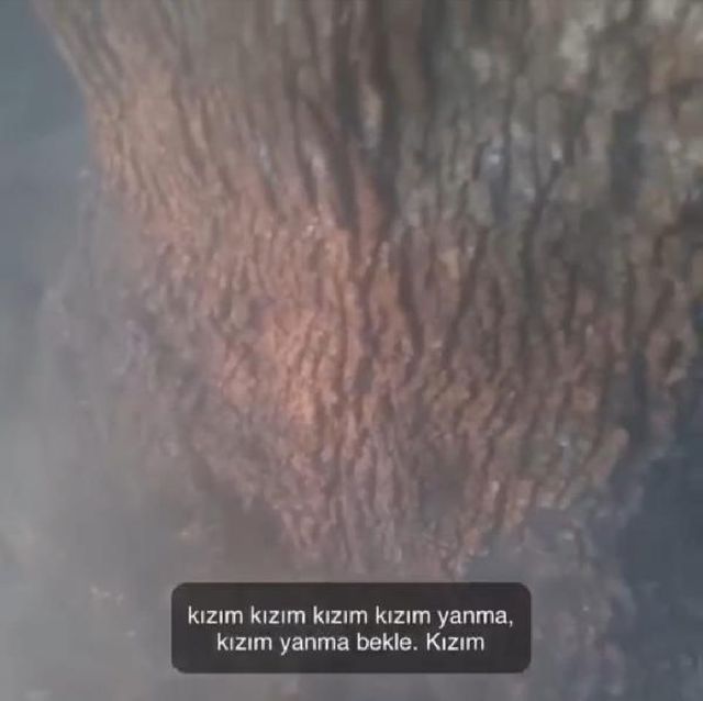 atese verilen agaca dokunup kizim yanma itfai 10 14232520 o