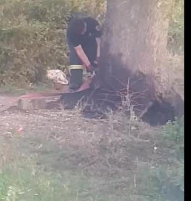 atese verilen agaca dokunup kizim yanma itfai 7 14232520 o
