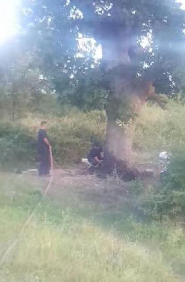 atese verilen agaca dokunup kizim yanma itfai 8 14232520 o