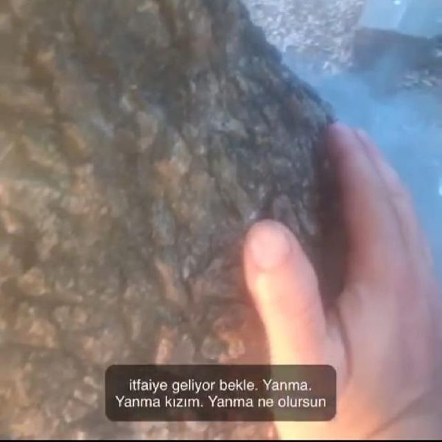 atese verilen agaca dokunup kizim yanma itfai 9 14232520 o