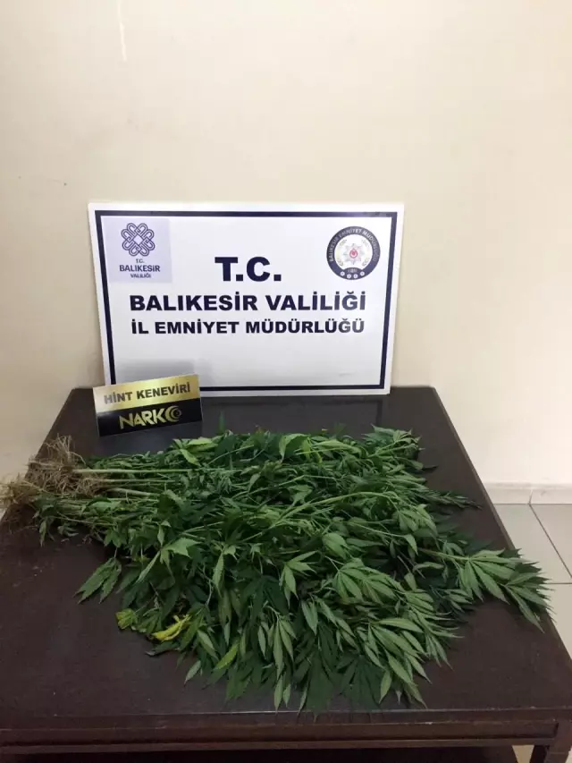 Balıkesir'de 30 gözaltı