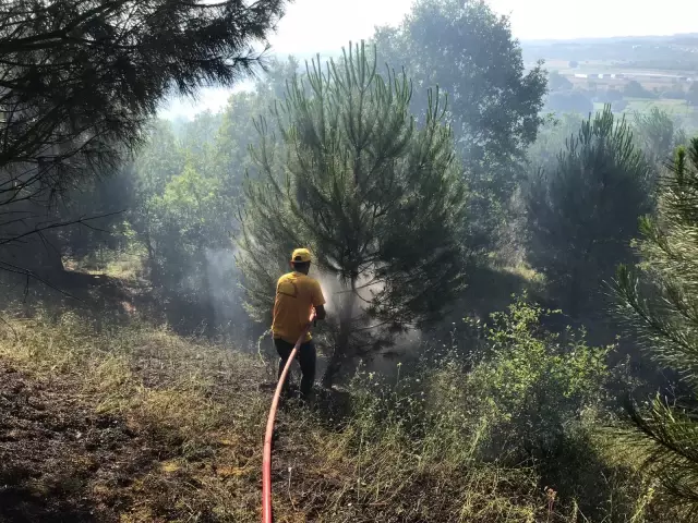 Ormanlık alanda çıkan yangına sebep olduğu iddia edilen kişi gözaltına alındı