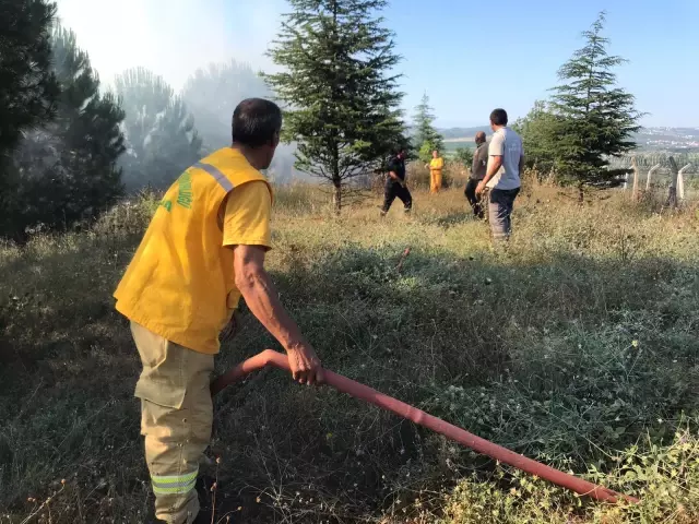 Ormanlık alanda çıkan yangına sebep olduğu iddia edilen kişi gözaltına alındı