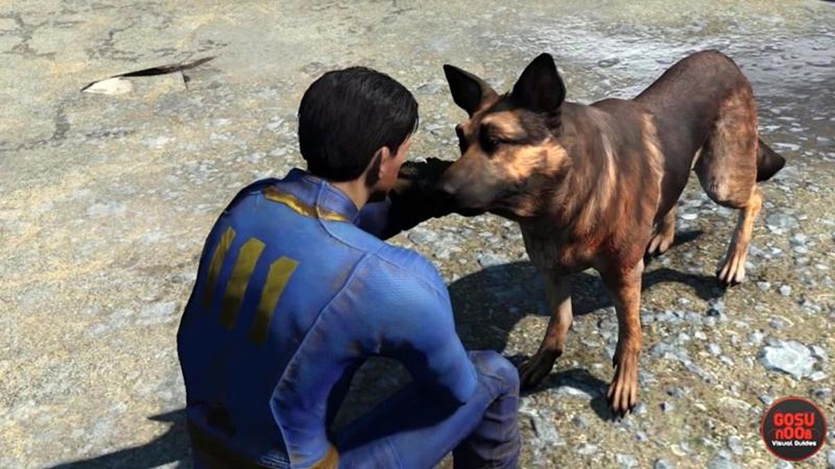Fallout 4'ün sevimli dostu Dogmeat'den kötü haber