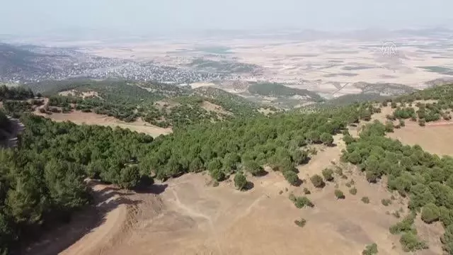 KAHRAMANMARAŞ - 6 küçükbaş hayvan yırtıcılar tarafından telef edildi KAHRAMANMARAŞ - 6 küçükbaş hayvan yırtıcılar tarafından telef edildi