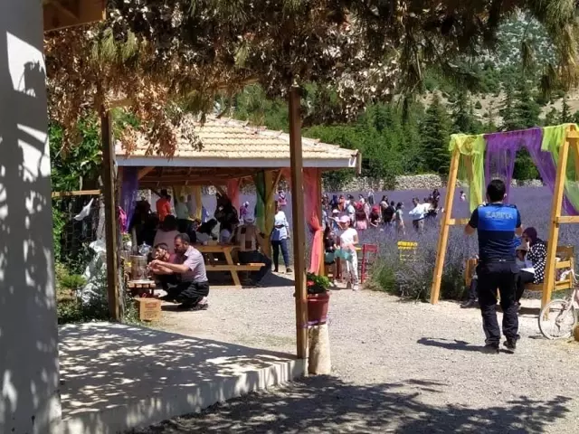 Lavanta bahçelerine ziyaretçi akını